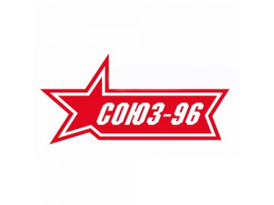 Защита переднего бампера труба d60,Lexus RX 270/350/450h 2012-
